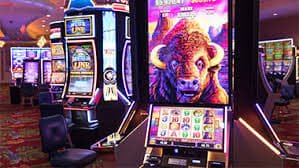 Sports and casino style entertainment browsing on bd bet app